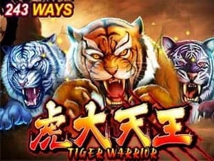 Tiger Warrior icon
